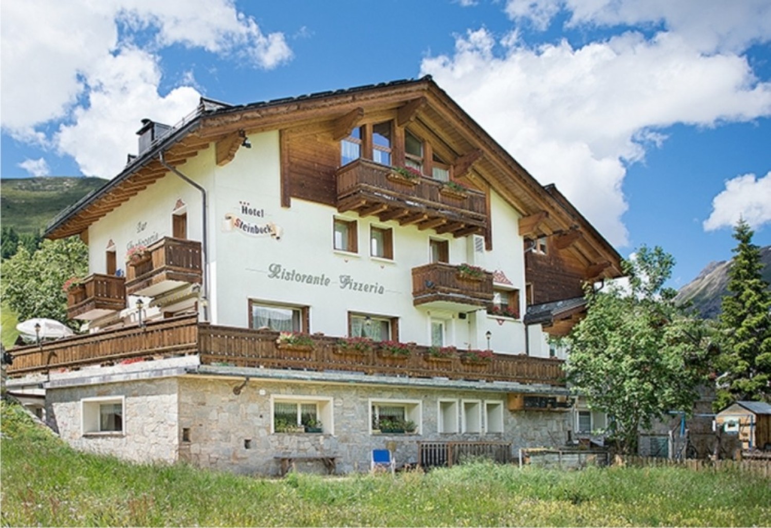 Steinbock-Livigno-Foto